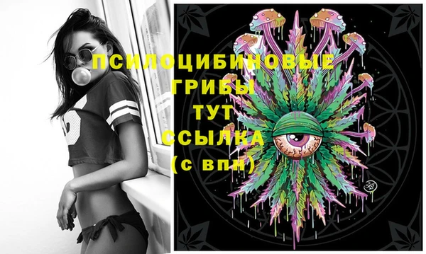 хмурый Алексеевка