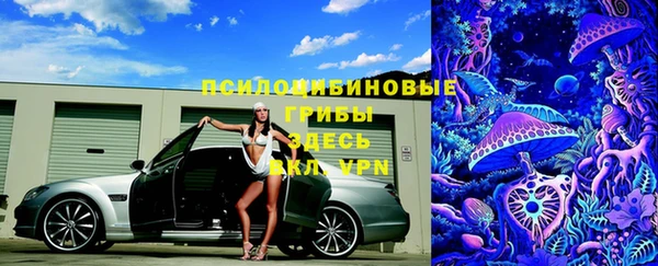 хмурый Алексеевка