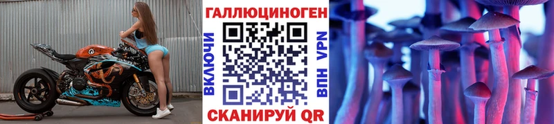 hydra tor  Новоульяновск  Галлюциногенные грибы мицелий  купить наркотики сайты 
